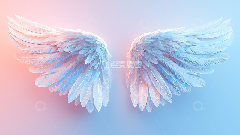 高清大图下载【趣麦麦图】唯美天使翅膀
