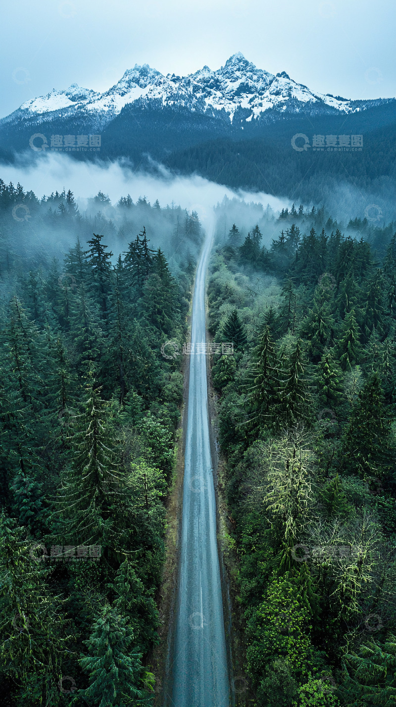 高清大图下载【趣麦麦图】通往雪山的森林道路