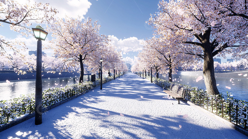 高清大图下载【趣麦麦图】唯美樱花雪景