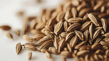 小茴香种子特写