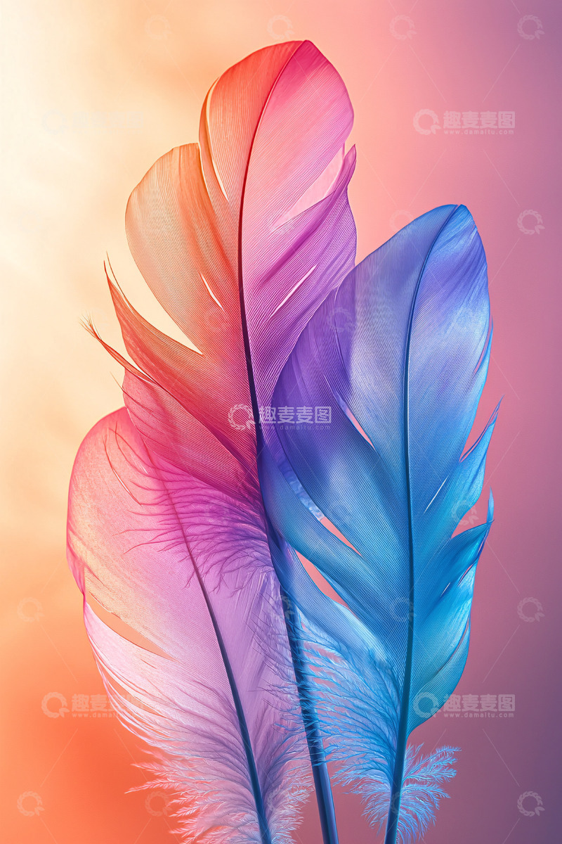 高清大图下载【趣麦麦图】彩色羽毛