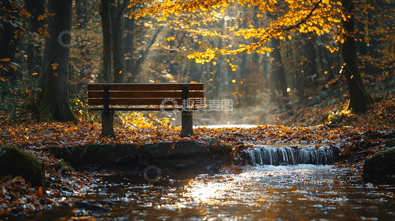 高清大图下载【趣麦麦图】秋日森林小溪长椅