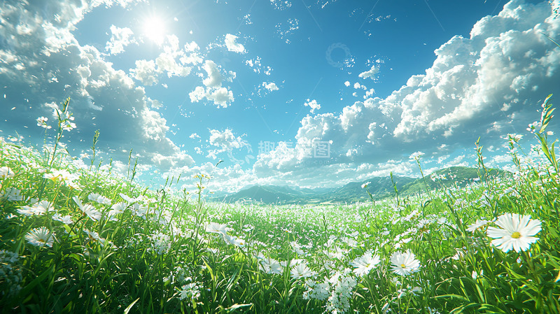 高清大图下载【趣麦麦图】阳光明媚花海草原