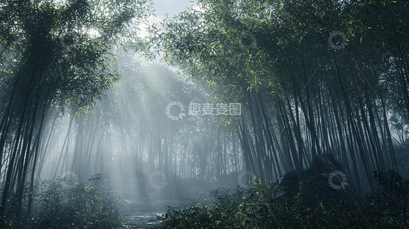 高清大图下载【趣麦麦图】竹林
