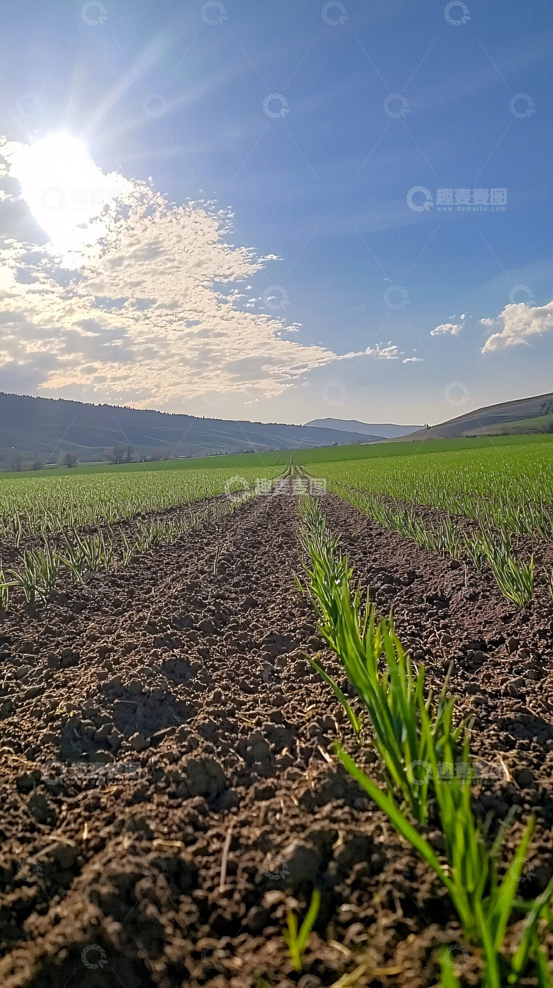高清大图下载【趣麦麦图】田间小路
