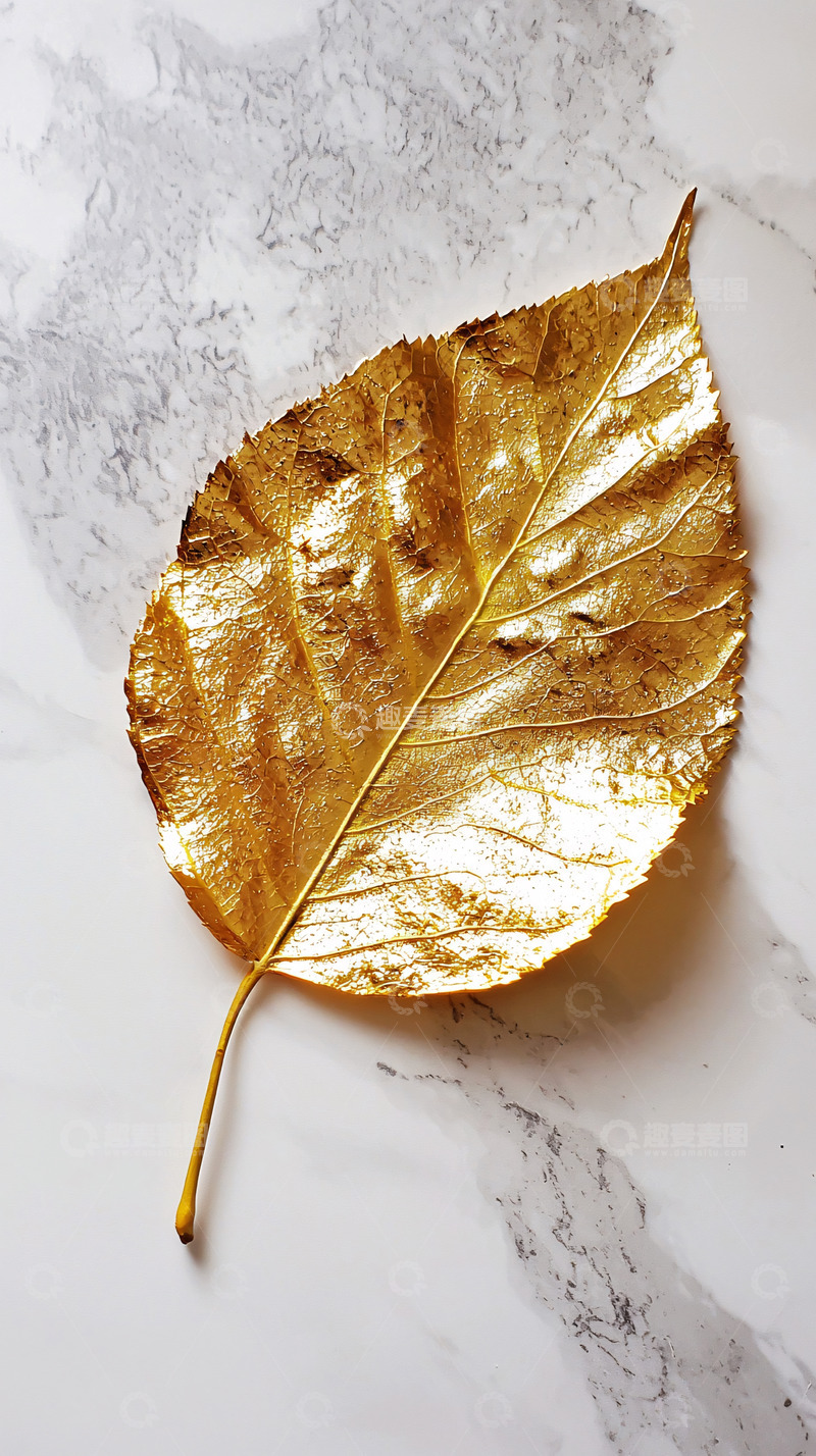 高清大图下载【趣麦麦图】金箔树叶
