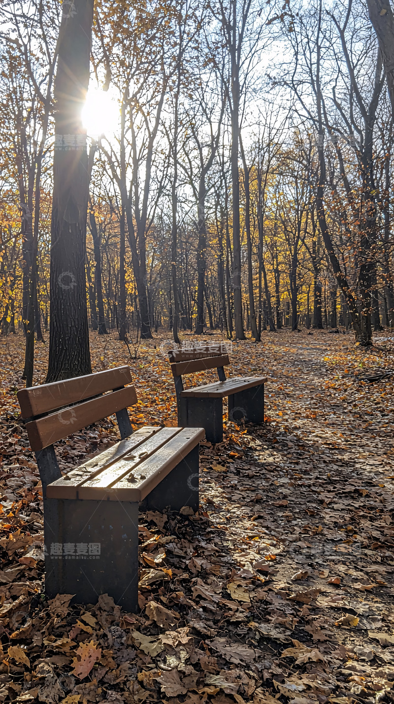 高清大图下载【趣麦麦图】秋日公园里的长椅