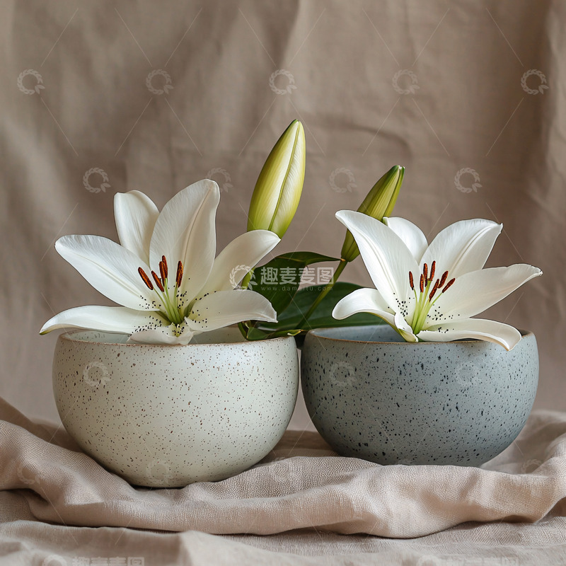 高清大图下载【趣麦麦图】白色百合花在陶瓷碗中