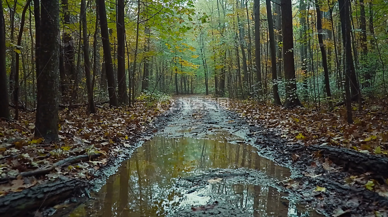 高清大图下载【趣麦麦图】秋日森林泥泞小路