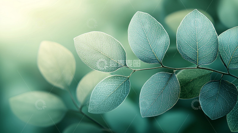 高清大图下载【趣麦麦图】朦胧绿叶枝条特写