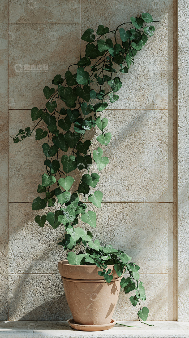 高清大图下载【趣麦麦图】绿植盆栽