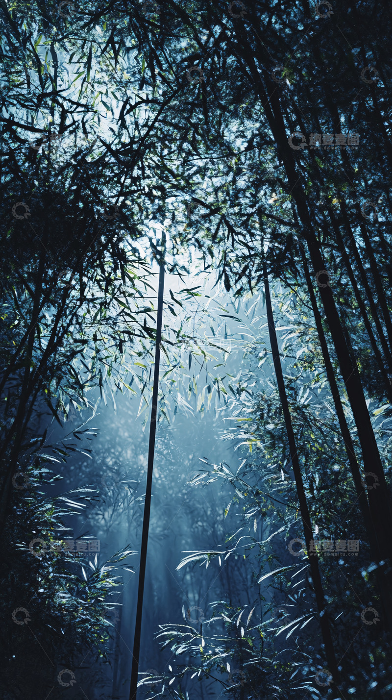 高清大图下载【趣麦麦图】竹林深处光线透射