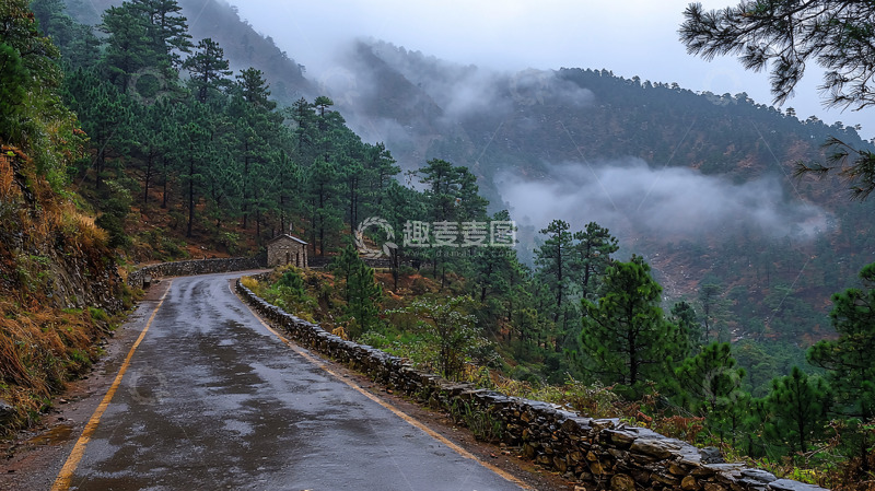 高清大图下载【趣麦麦图】山路雾气森林公路