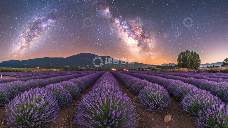 高清大图下载【趣麦麦图】薰衣草田星空银河
