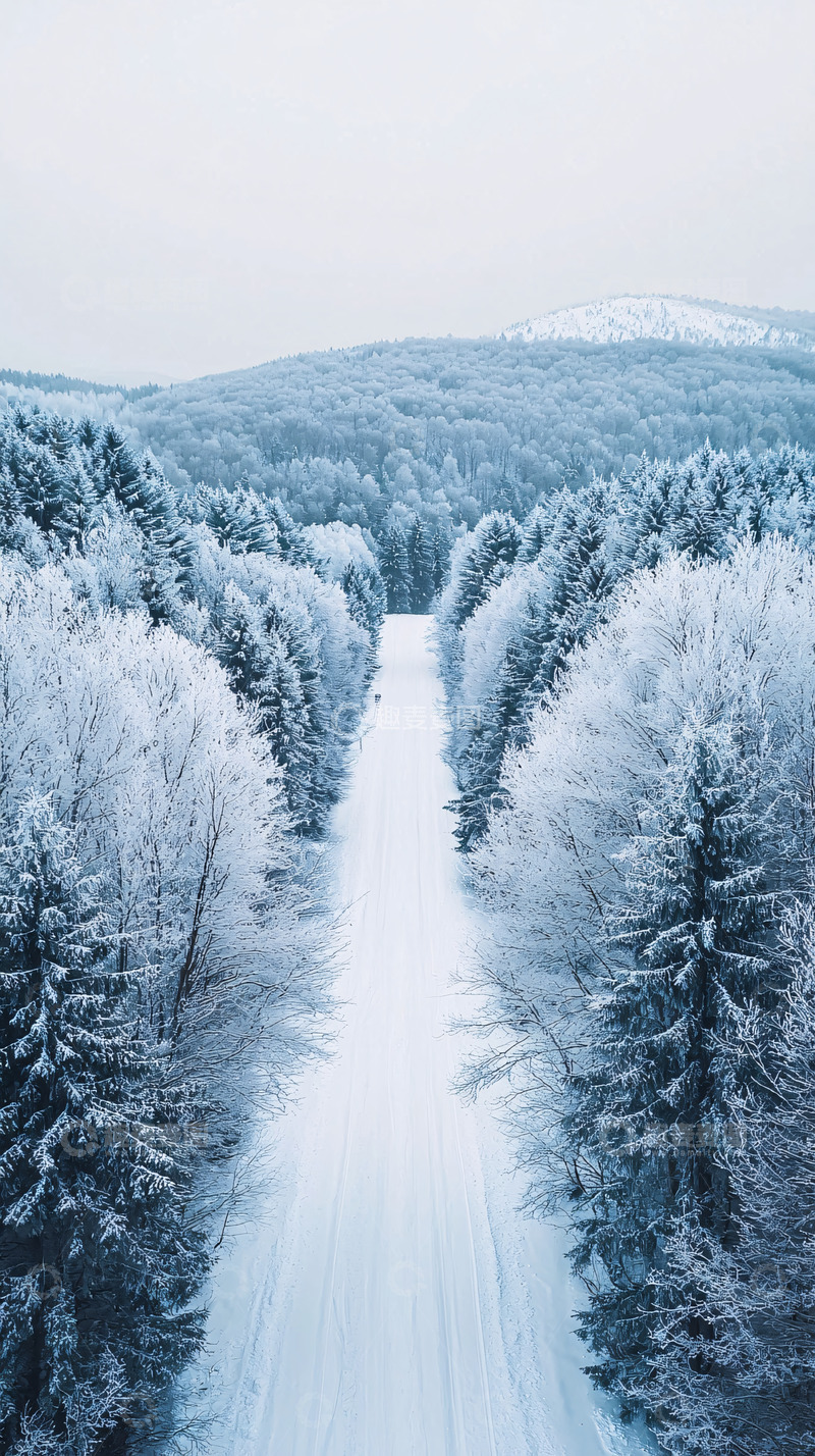高清大图下载【趣麦麦图】雪覆盖的森林道路