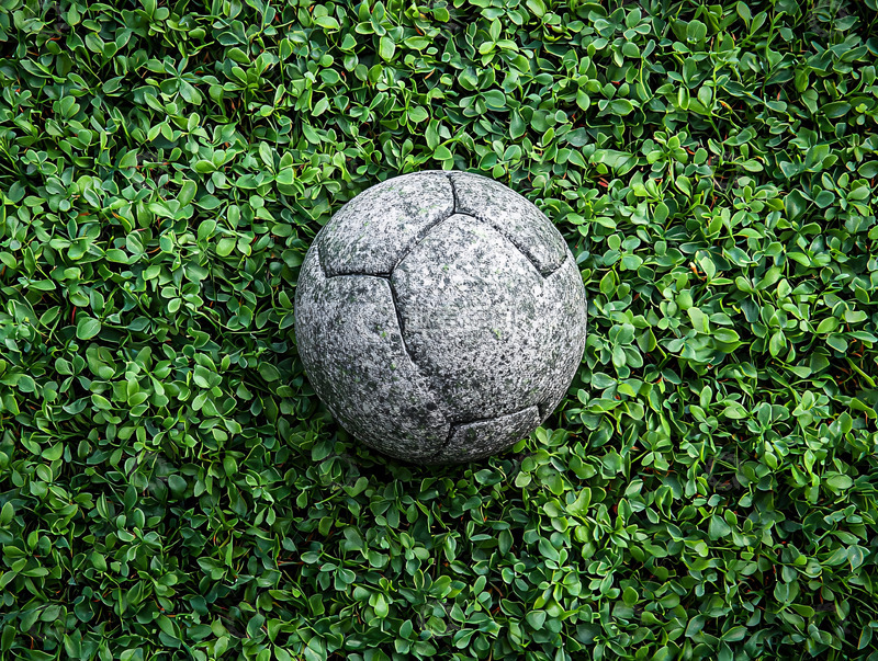 高清大图下载【趣麦麦图】足球在绿色植被上