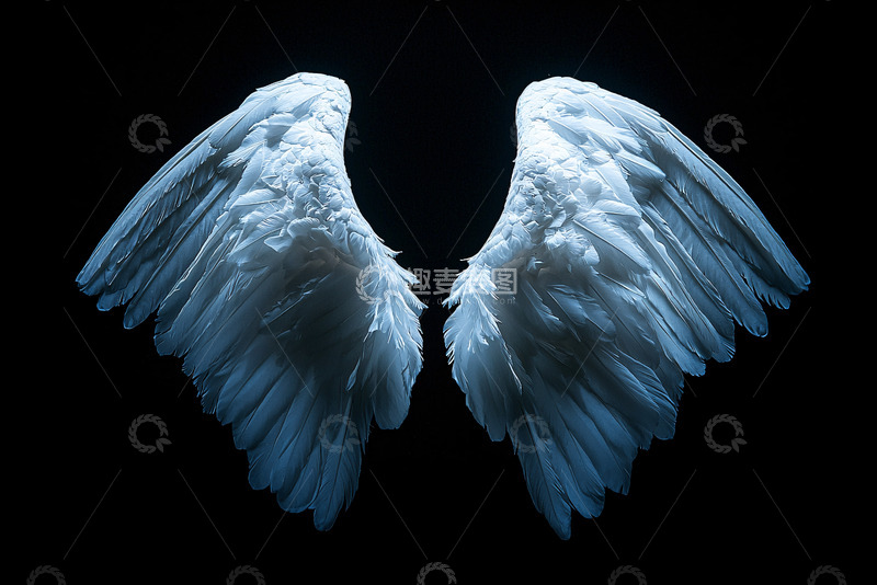 高清大图下载【趣麦麦图】黑色背景下的白色翅膀