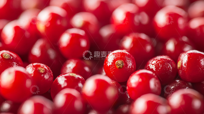 高清大图下载【趣麦麦图】红红的蔓越莓特写