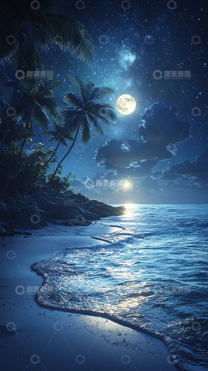 高清大图下载【趣麦麦图】月光下的热带海滩