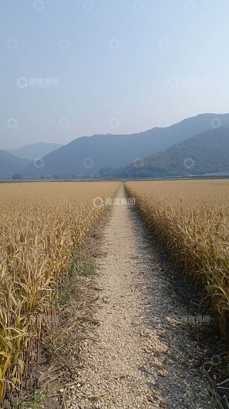 高清大图下载【趣麦麦图】田埂小路通向远山