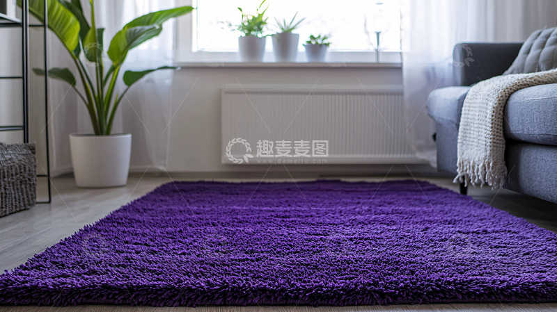 高清大图下载【趣麦麦图】紫色地毯