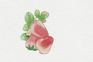 新鲜水彩草莓