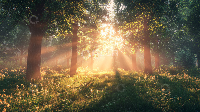 高清大图下载【趣麦麦图】森林阳光穿透树林