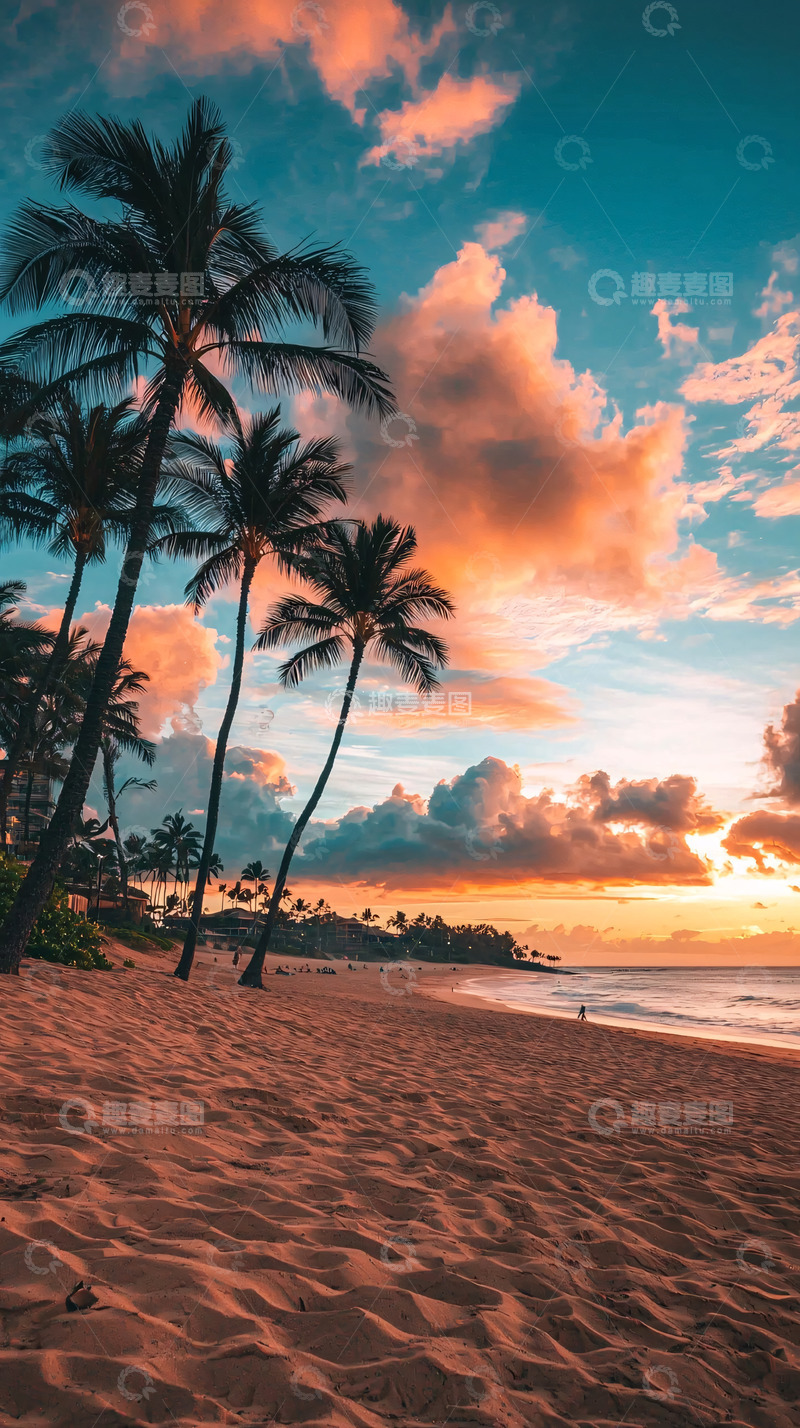 高清大图下载【趣麦麦图】夕阳椰树海滩风景