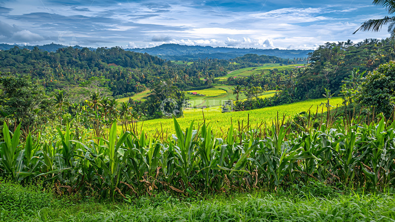 高清大图下载【趣麦麦图】山峦起伏的绿色田野
