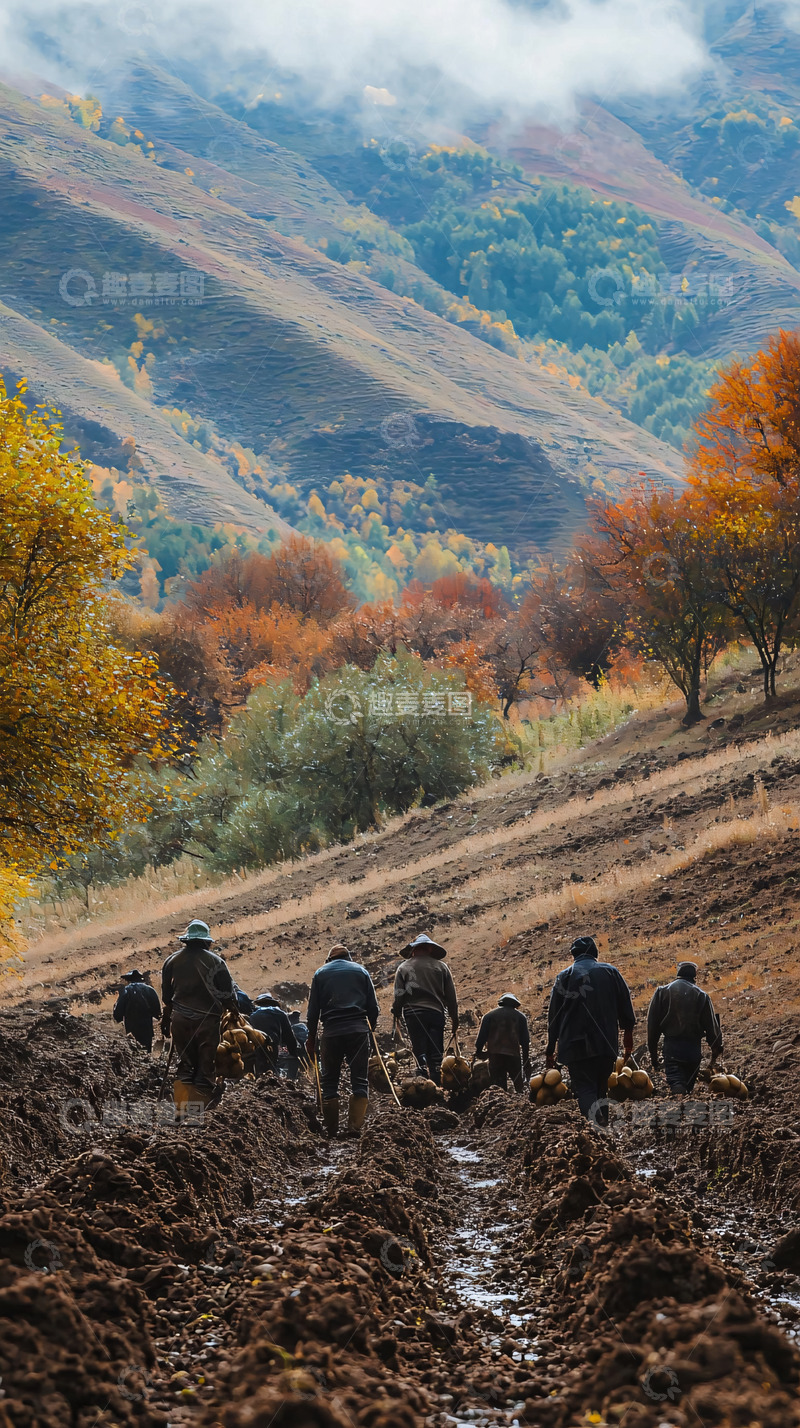 高清大图下载【趣麦麦图】秋收