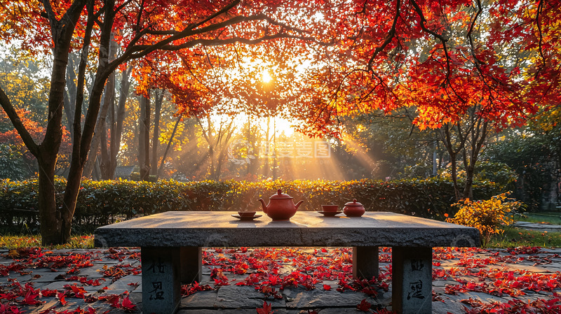 高清大图下载【趣麦麦图】秋日阳光下的红叶茶桌