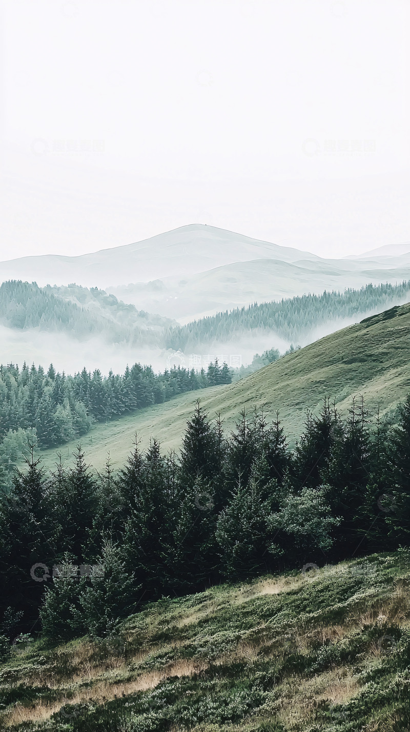 高清大图下载【趣麦麦图】雾气缭绕的山峦森林
