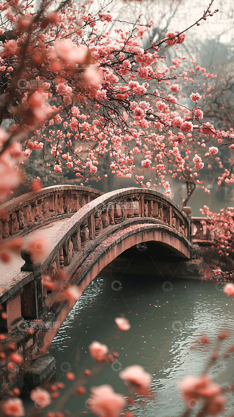 高清大图下载【趣麦麦图】粉色樱花桥
