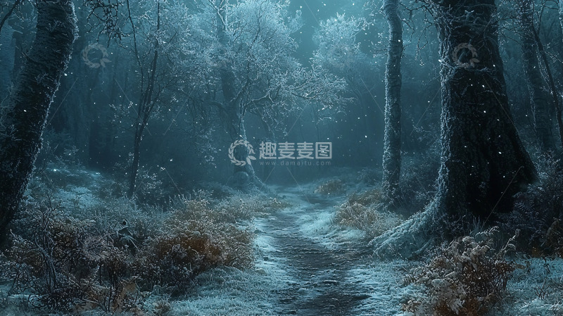高清大图下载【趣麦麦图】雪夜森林小路