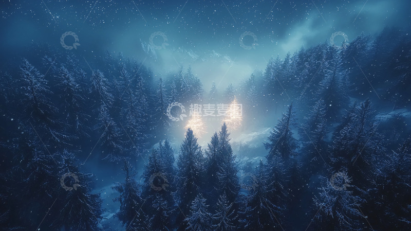 高清大图下载【趣麦麦图】寒冷夜空下的森林