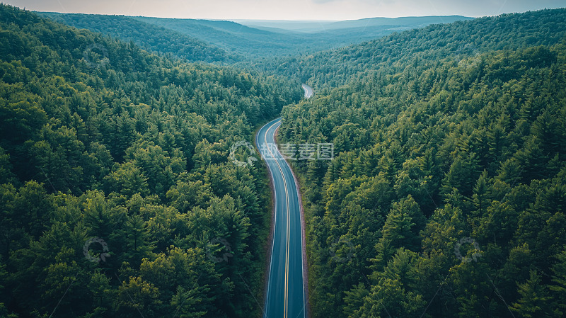 高清大图下载【趣麦麦图】山路蜿蜒穿过绿色森林