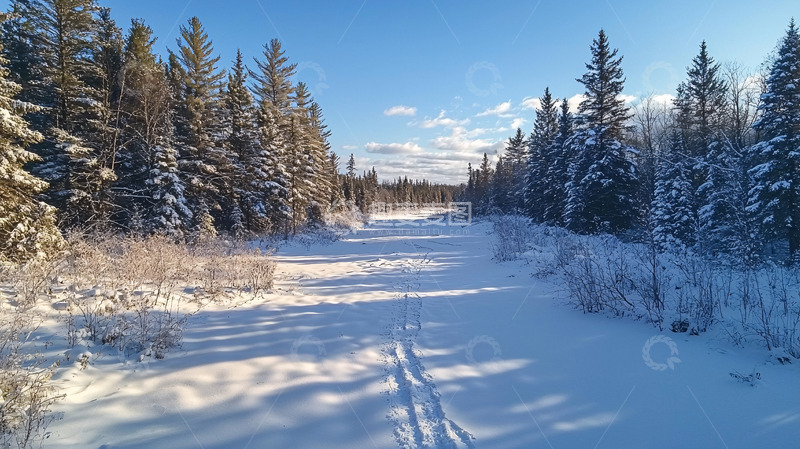 高清大图下载【趣麦麦图】雪地森林小路