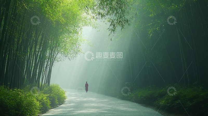 高清大图下载【趣麦麦图】竹林间的阳光小路