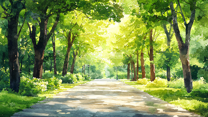 高清大图下载【趣麦麦图】阳光洒落林荫小路