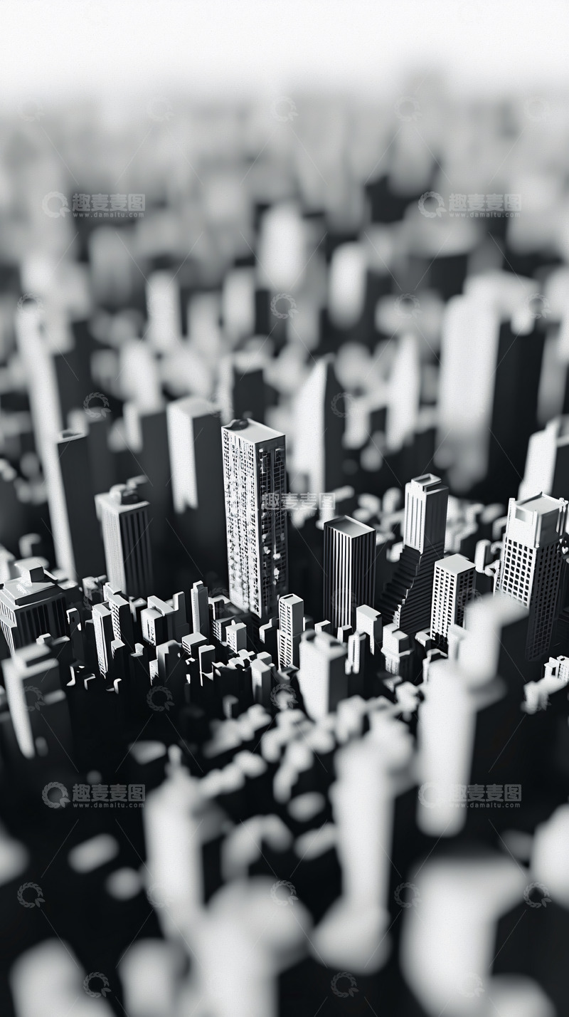 高清大图下载【趣麦麦图】黑白城市俯瞰图