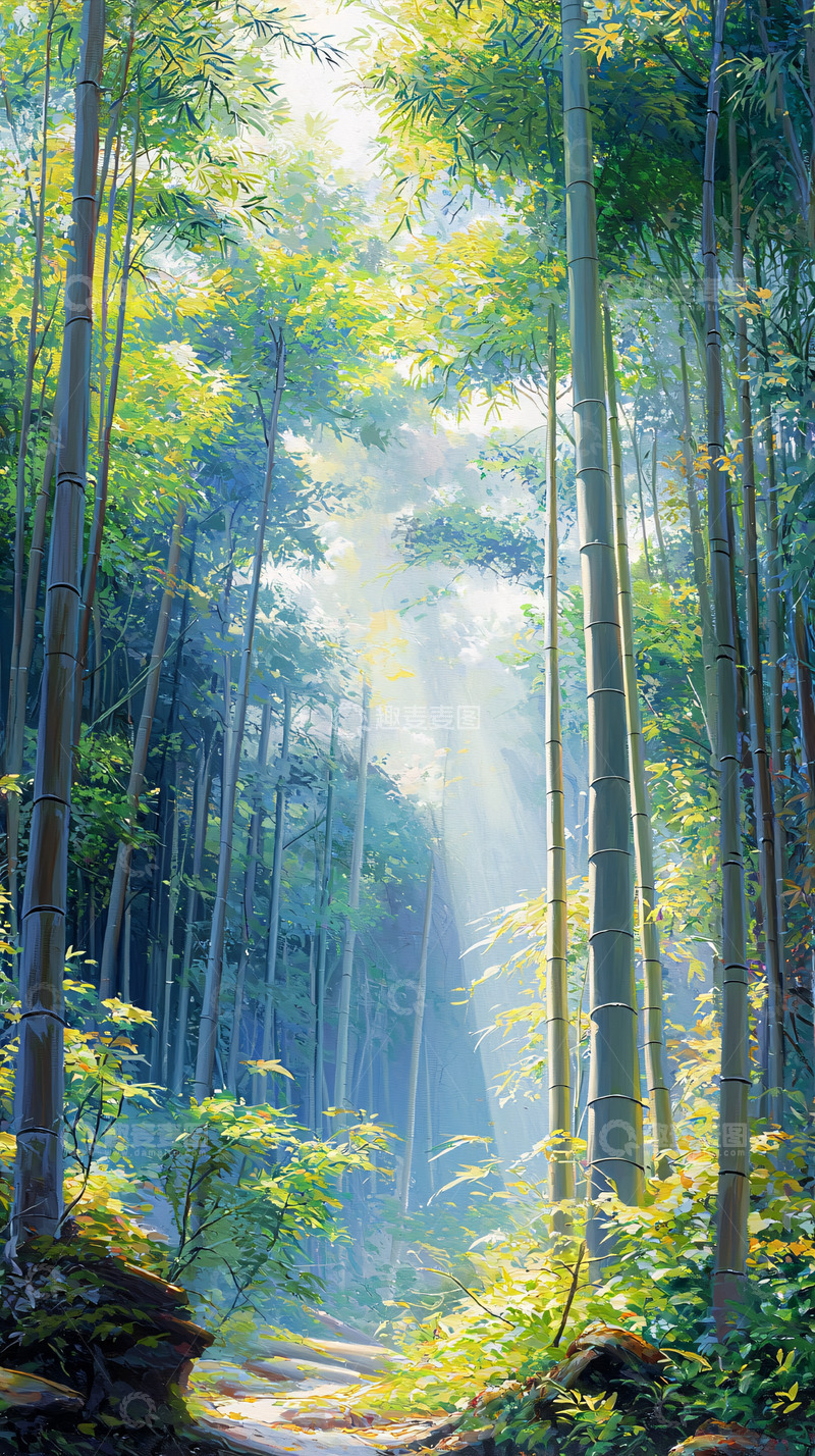 高清大图下载【趣麦麦图】阳光洒落竹林小路