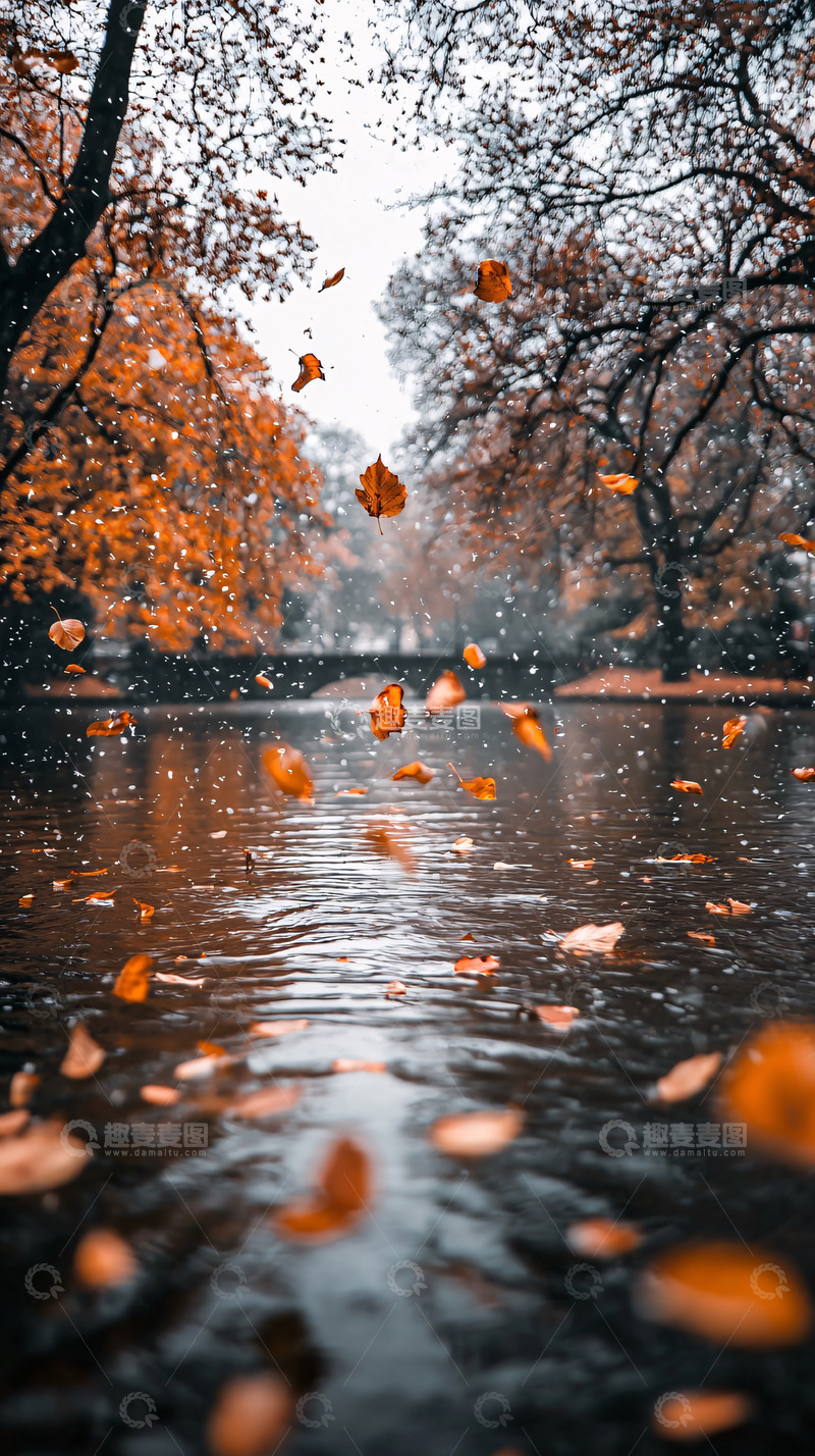 高清大图下载【趣麦麦图】秋雨落叶桥边水景
