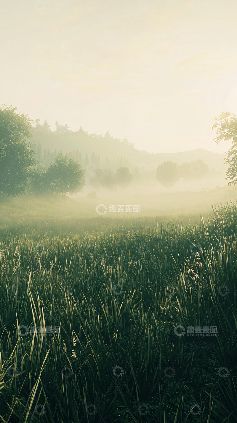 高清大图下载【趣麦麦图】清晨薄雾笼罩的草地