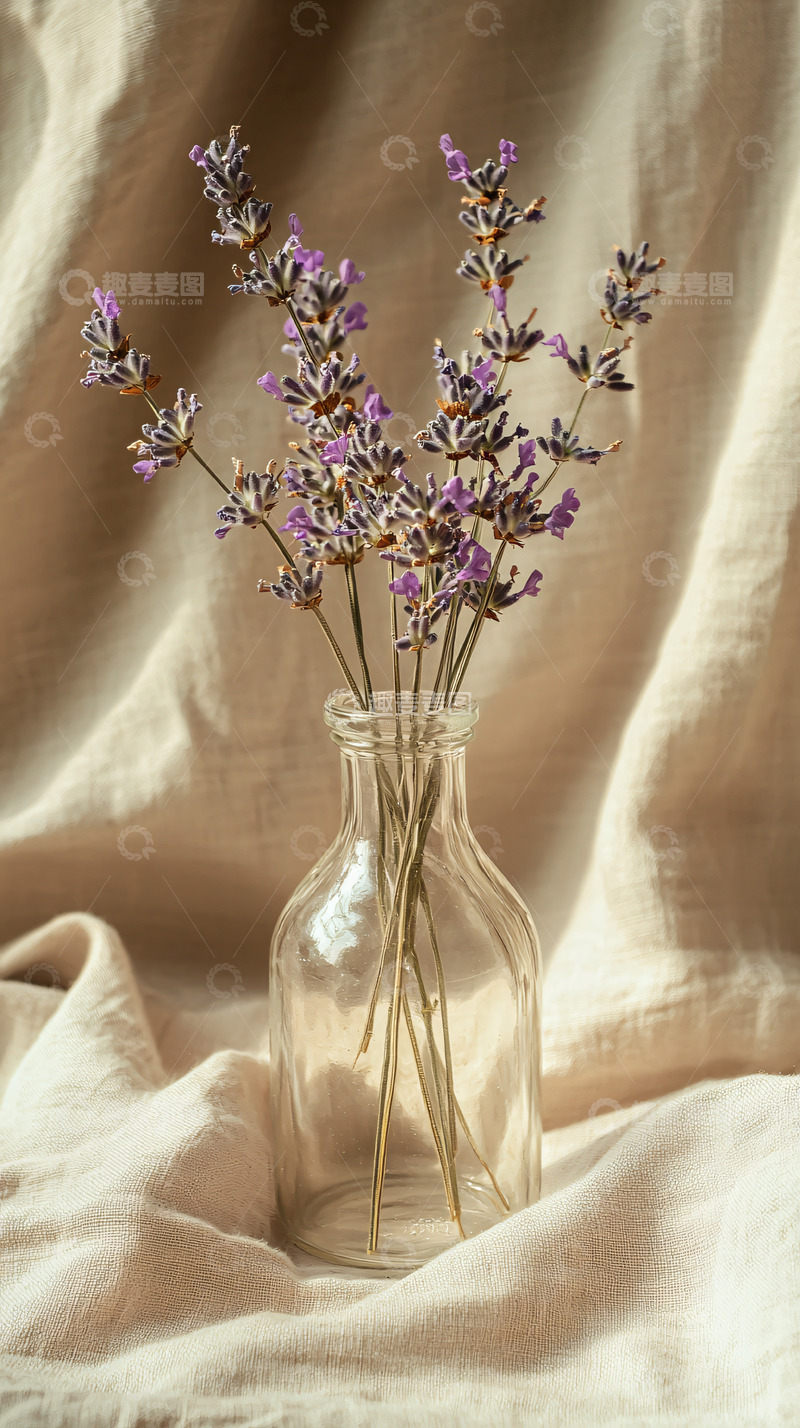 高清大图下载【趣麦麦图】淡雅薰衣草瓶装特写
