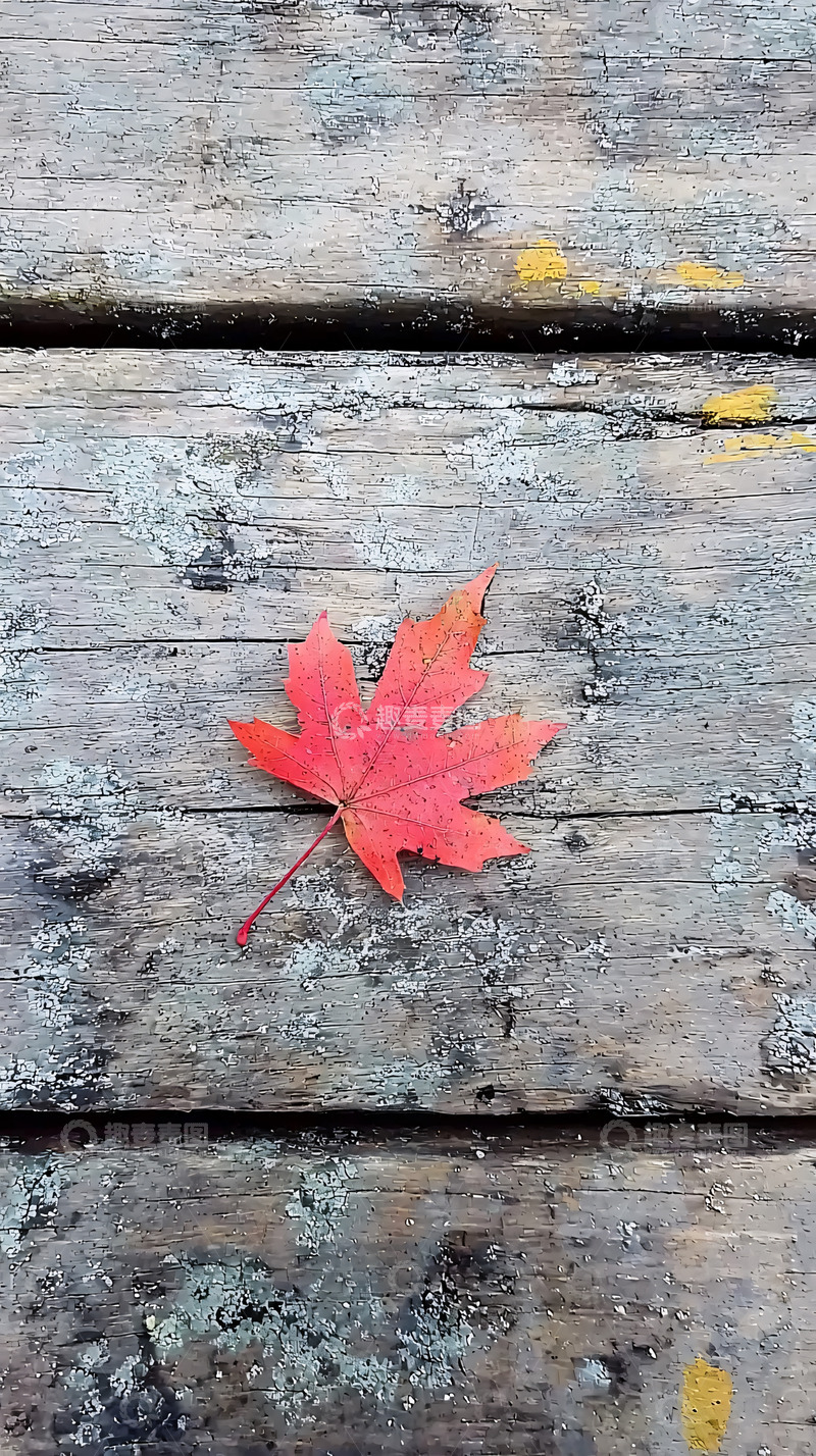 高清大图下载【趣麦麦图】红枫叶木板背景