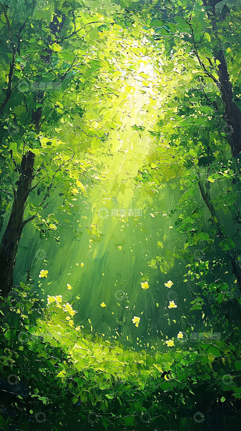 高清大图下载【趣麦麦图】阳光透过树林