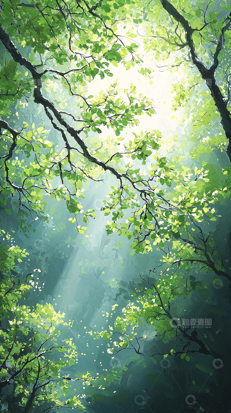 高清大图下载【趣麦麦图】绿色森林阳光透过树叶
