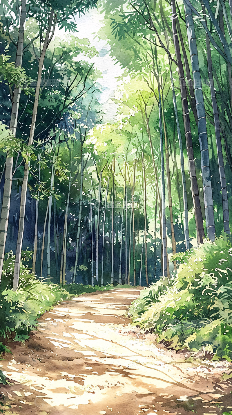 高清大图下载【趣麦麦图】绿荫小路通幽静竹林