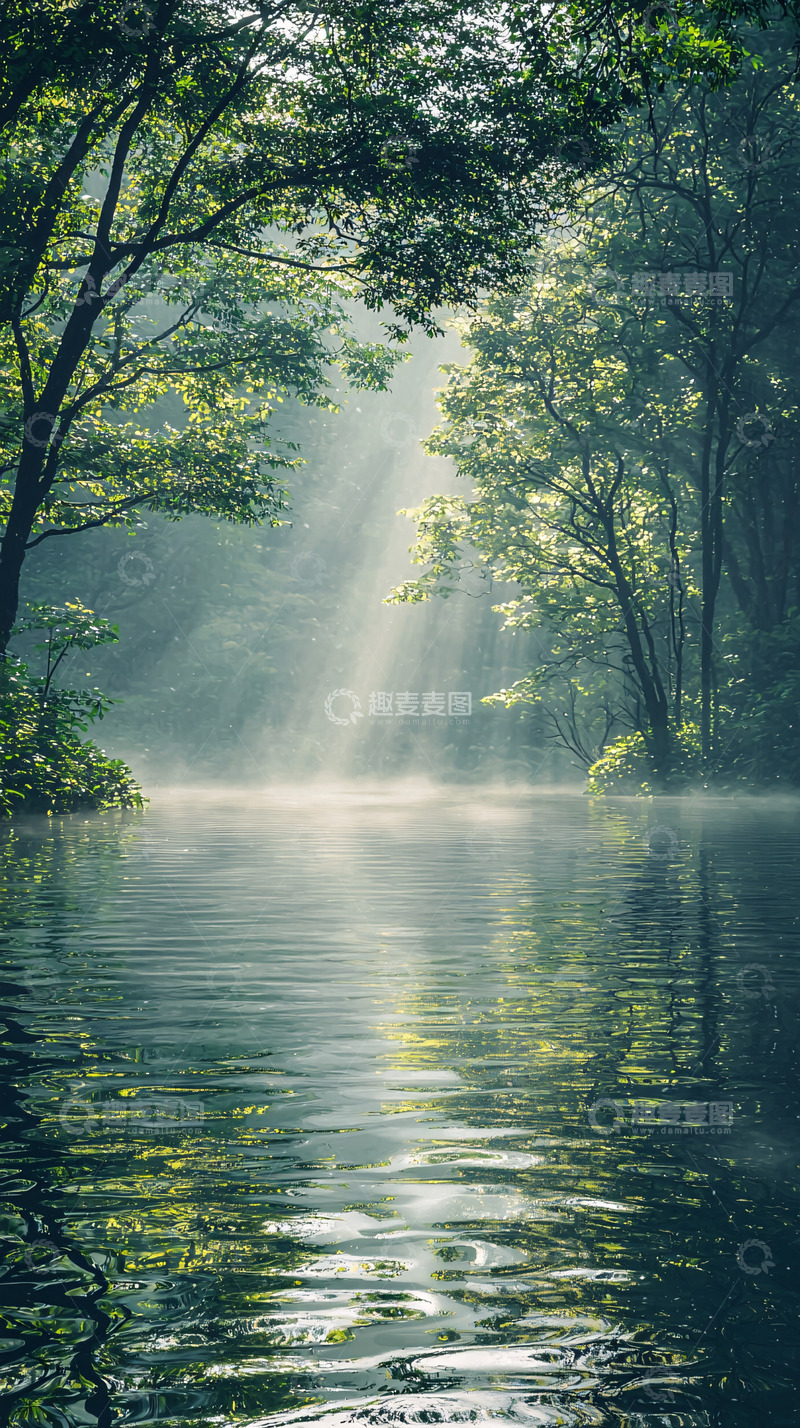高清大图下载【趣麦麦图】森林河流阳光