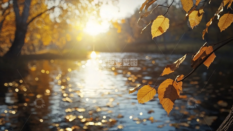 高清大图下载【趣麦麦图】秋日河流落叶夕阳